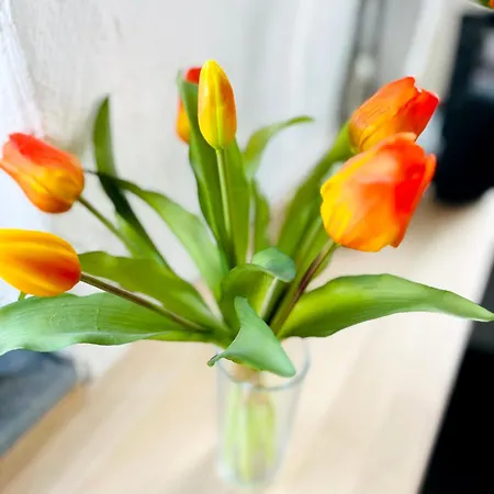 La Maison Mythique * Andenne